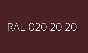 Color RAL 020 20 20