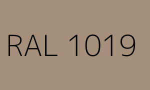 Color RAL 1019