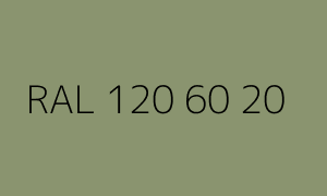 Color RAL 120 60 20
