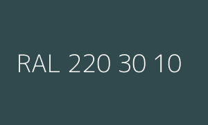 Color RAL 220 30 10