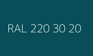 Color RAL 220 30 20