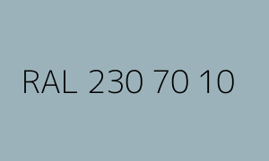 Color RAL 230 70 10
