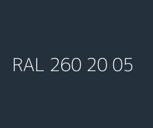 Color RAL 260 20 05 