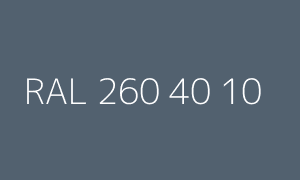 Color RAL 260 40 10