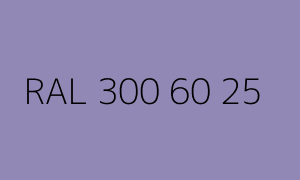 Color RAL 300 60 25