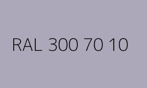 Color RAL 300 70 10