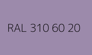 Color RAL 310 60 20