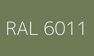 Color RAL 6011