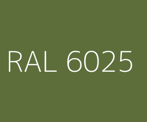 Color RAL 6025 FERN GREEN