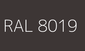 Color RAL 8019